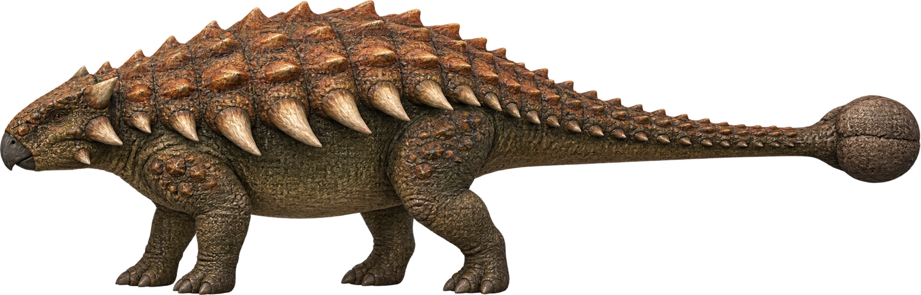 Ankylosaurus, Jurassic World Alive · licensed game profile. Listed average adult length · Jurassic World Alive: 9.6 meters, illustrative estimate.