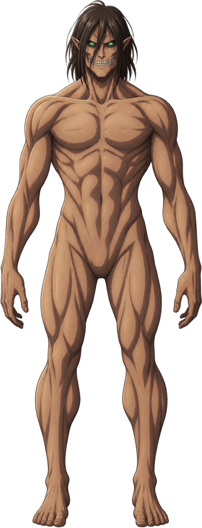 Attack Titan, Eren’s form · 2013 anime design. Licensed size reference · 15-meter class: 15 meters.