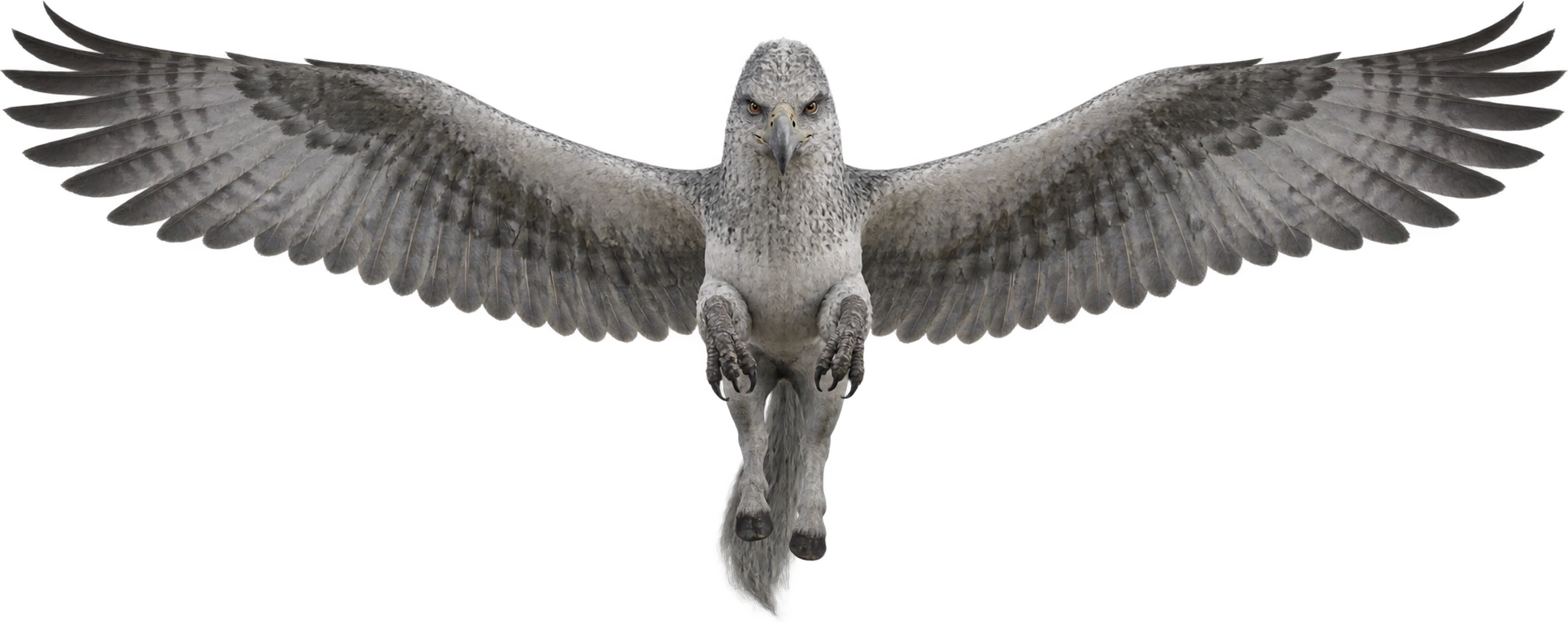 Buckbeak, Prisoner of Azkaban · extended flight wings. Published flight-wingspan reference · 28 feet: 8.5344 meters.