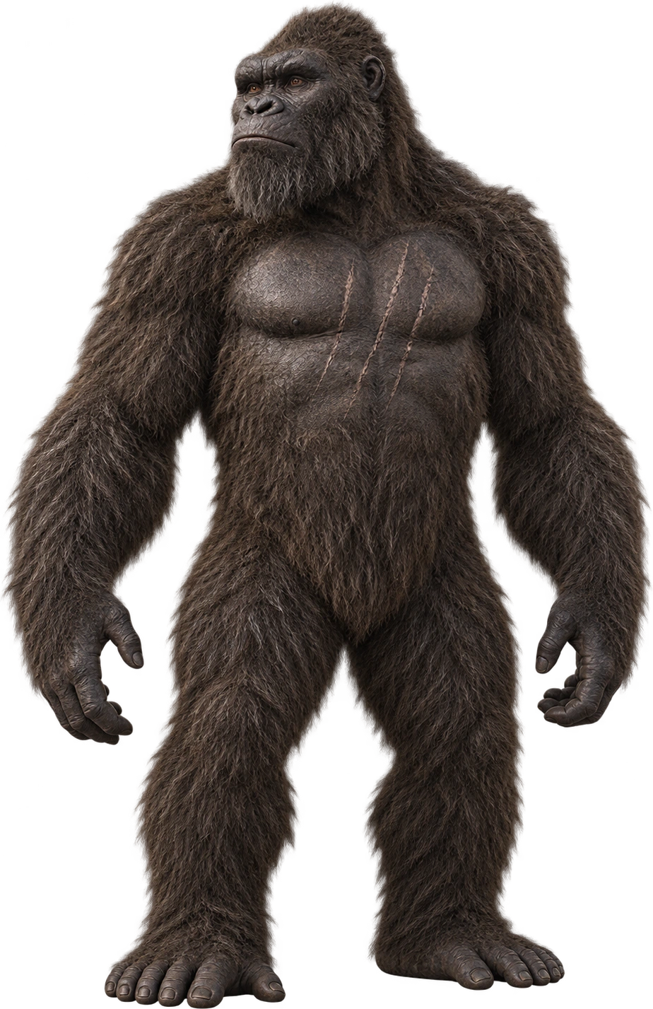 Kong (2021), Godzilla vs. Kong · 2021. Japanese film-pamphlet height · 337 feet: 102.7176 meters.