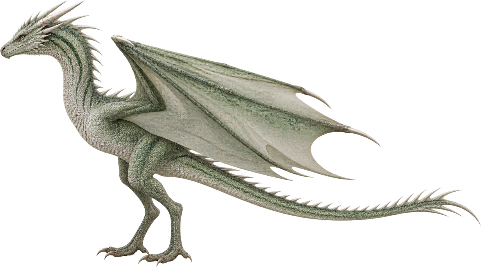 Moondancer, Book and TV-inspired young dragon. Height pending; displayed at a temporary size.