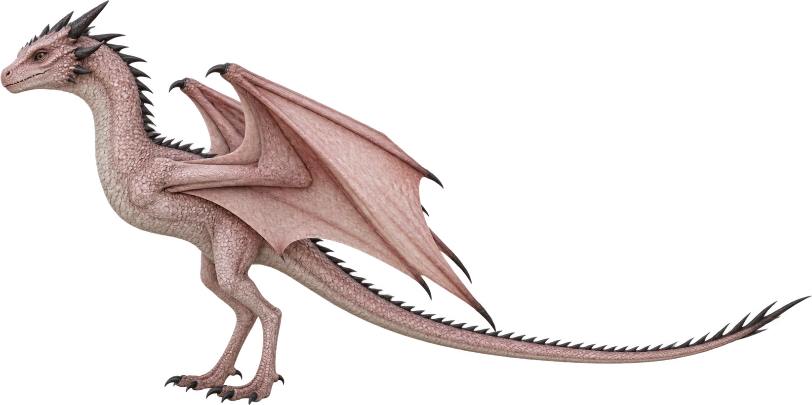 Morning, Fire & Blood · hatchling interpretation. Height pending; displayed at a temporary size.
