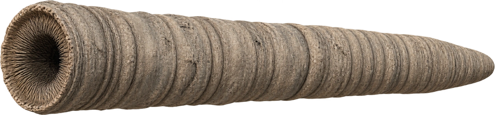 Sandworm, Dune · 2021 Paul and Jessica encounter. Production length reference · 400 meters: 400 meters.