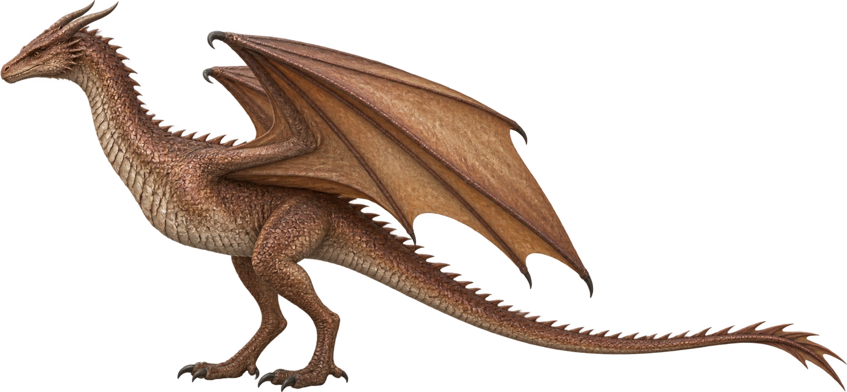 Shrykos, Fire & Blood · young dragon interpretation. Height pending; displayed at a temporary size.