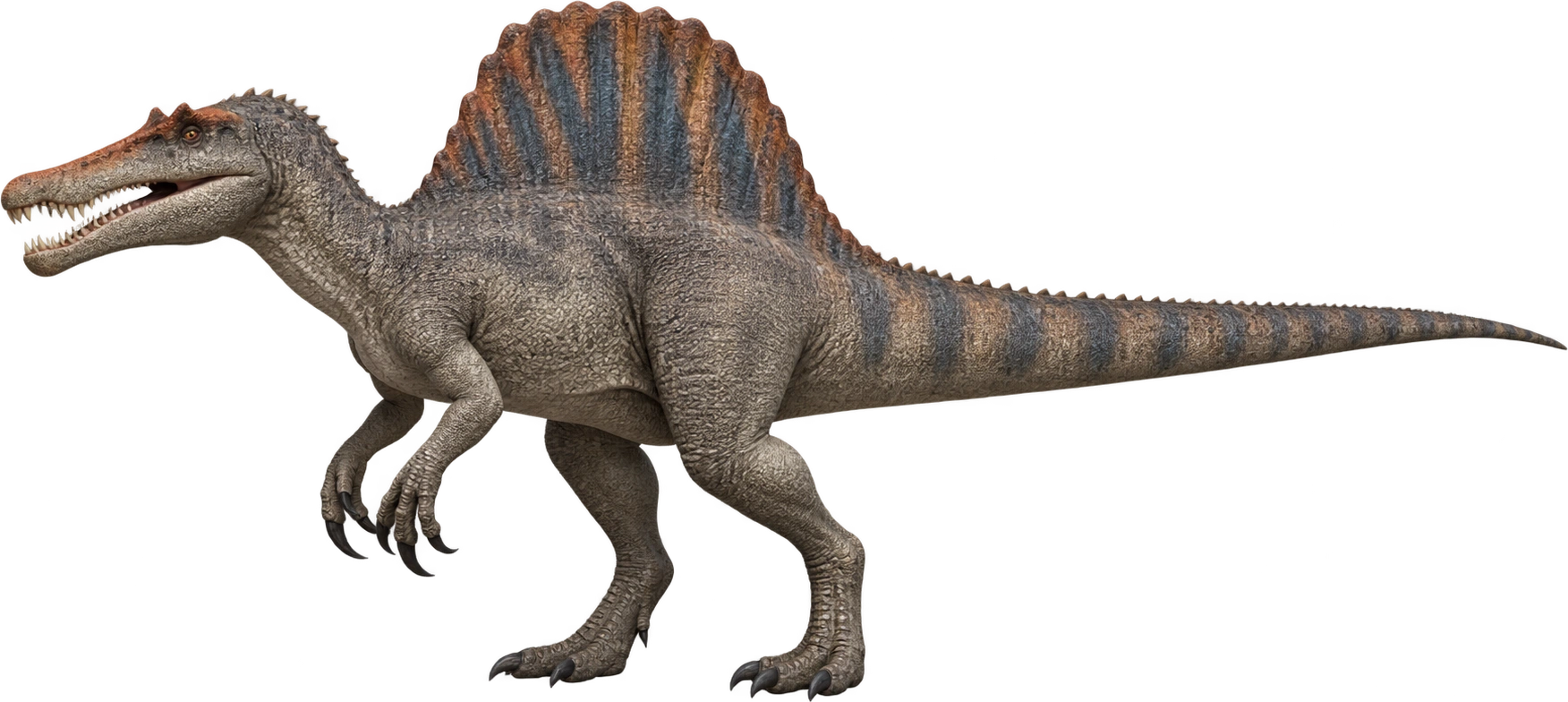 Spinosaurus, Jurassic World Alive · licensed game profile. Listed average adult length · Jurassic World Alive: 14 meters, illustrative estimate.