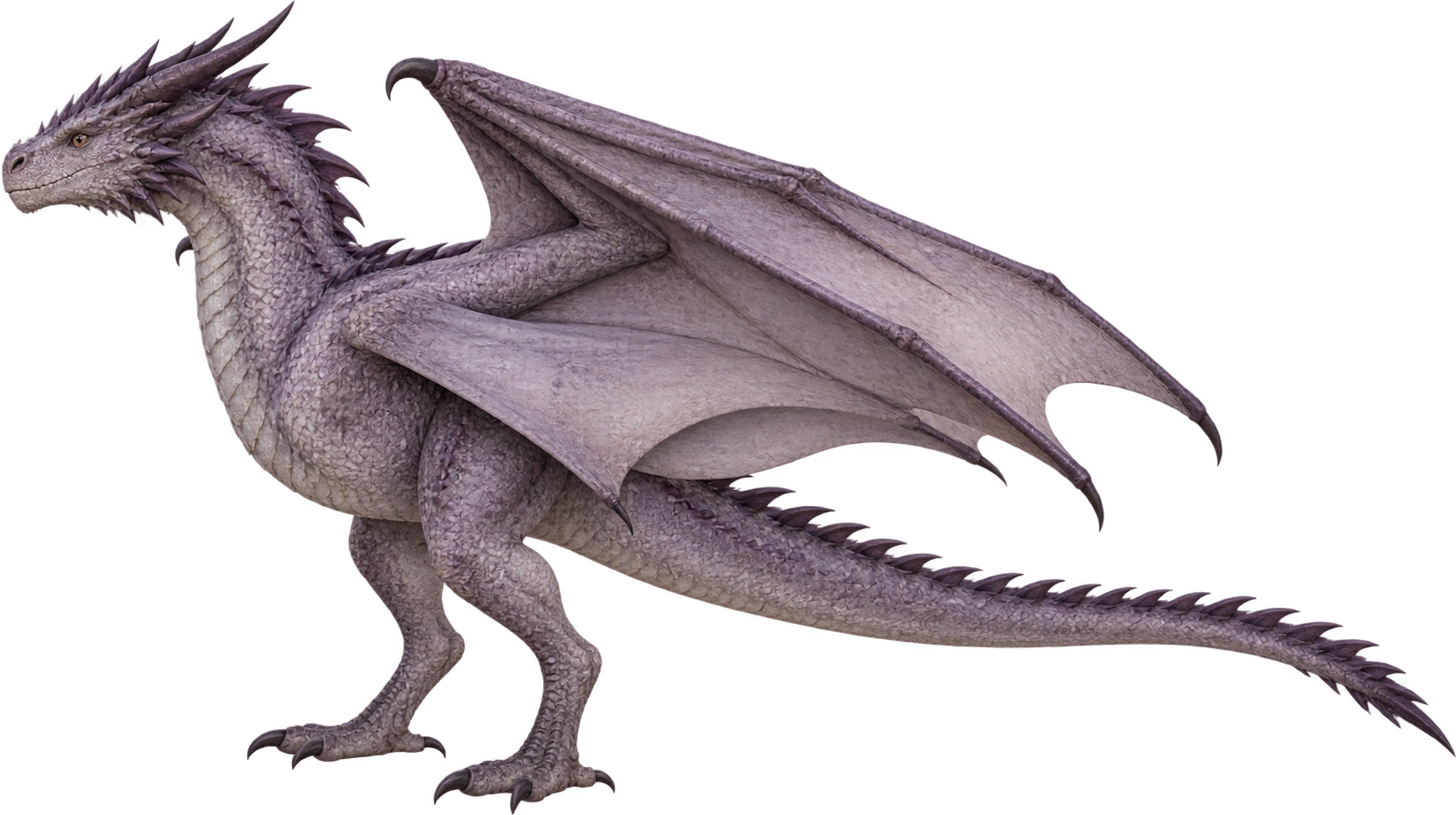 Tyraxes, Book interpretation · young dragon. Height pending; displayed at a temporary size.